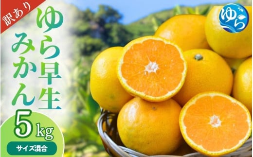 ys\z_󂠂^ 瑁݂ 5kg y2025N10{`\z/ ݂ ~J a̎R k  Â  t[c ʕ  Hi  Yn Rǒ ƒp 瑁