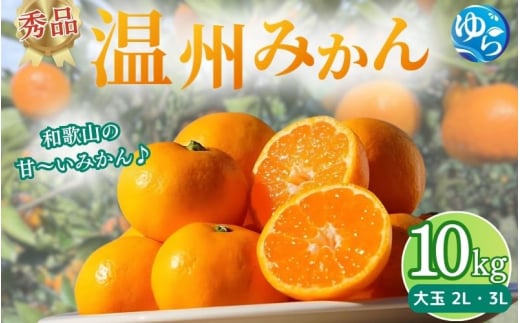 【先行予約】秀品 温州みかん 10kg ≪大玉≫ 【2025年11月下旬〜順次発送予定】/ みかん ミカン 和歌山県 柑橘  甘い 蜜柑 フルーツ 果物 くだもの 食品  産地直送 由良町  温州 みかん 【myvi010