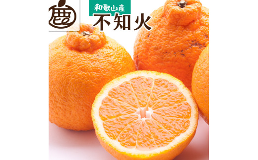【先行予約】<2月より発送>厳選不知火10kg+250g(傷み補償分)<2月より発送>【デコポンと同品種・人気の春みかん】【光センサー食頃出荷】【ikd231】和歌山県由良町31000果物・フルーツ