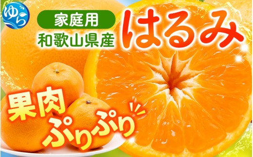 ys\z2蔭 ƒp͂10kg+250giݕ⏞jfR|̎oi VHt݂ ZT[I 󂠂 킯 yikd230za̎RRǒ24000ʕEt[c݂E