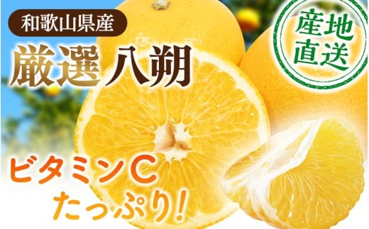 【先行予約】<1月より発送> 厳選はっさく2.5kg+250g(傷み補償分)/ 晩柑 柑橘 フルーツ 新鮮 苦味 コク 農家直送 ジューシー みかん 和歌山 果汁   八朔みかん ハッサク 密柑 くだもの【ikd138