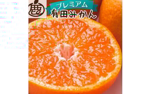 【先行予約】<11月より発送> プレミアム有田みかん2.5kg+250g(傷み補償分)(完熟)【ikd005D】和歌山県由良町9000果物・フルーツみかん・柑橘類