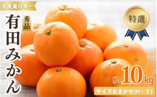 特選紀州有田みかん 秀品 約10kgサイズおまかせ(М・S)  ※2025年12月上旬〜下旬頃発送予定(お届け日指定不可)【sml915】和歌山県由良町30000果物・フルーツみかん・柑橘類