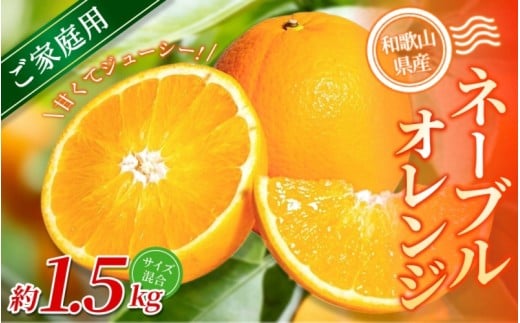 【家庭用】 森本農園の手選別 ネーブルオレンジ 約1.5kg 和歌山県産 サイズ混合 【2026年1月上旬〜2月中旬頃に順次発送】【mrmt016】和歌山県由良町6000果物・フルーツみかん・柑橘類