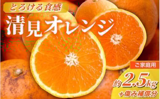 <2026年2月より発送>家庭用 清見オレンジ 2.5kg+250g(傷み保証分)【光センサー食頃出荷】【樹上完熟きよみオレンジ・清見タンゴール・清美】【わけあり・訳あり】 / オレンジ 清見 おれ