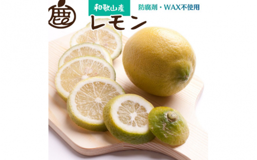 <先行予約>厳選 黒潮レモン 7.5kg+250g(傷み補償分)【和歌山有田産】【防腐剤・WAX不使用、安心の国産レモン】 ※2025年9月上旬頃〜2026年4月下旬頃に順次発送 / 和歌山 れもん レモン【ikd03