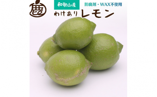 <先行予約>家庭用 黒潮レモン 1kg+250g(傷み補償分)【和歌山有田産】【防腐剤・WAX不使用、安心の国産レモン】【わけあり・訳ありレモン】 ※北海道・沖縄・離島への配送不可 / フルー