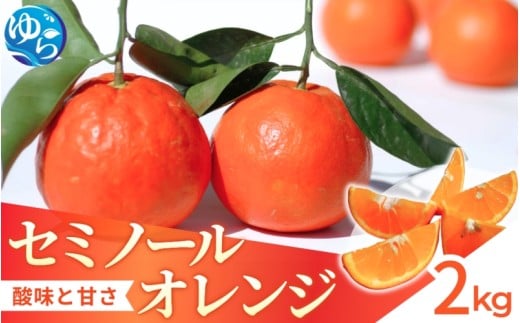 yV[Ys\zZ~m[ 2kg   2026N4㒆{` /  ݂ ӊ lC k X}CJbg   t[c ʕ  Hi lC   Yn a̎R Rǒ