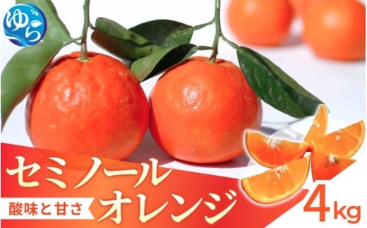 yV[Ys\zZ~m[ 4kg   2026N4㒆{` /  ݂ ӊ lC k X}CJbg   t[c ʕ  Hi lC   Yn a̎R Rǒ