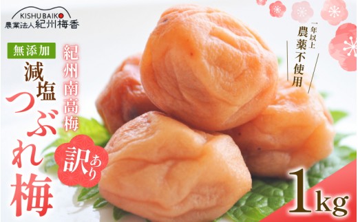 y_1Nȏsgpz Y  󂠂  Ԃ~ 1kgi500×2j 3  / IB썂~ P Ԃ Ԃ~ ~ ߂ڂ 썂~ ݂͂~ ݂͂Ђ  T 