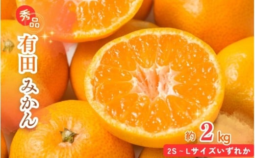 【先行予約】秀品 有田みかん 2kg 2S〜Lサイズのいずれか ※2025年12月上旬頃〜2025年12月下旬頃に順次発送予定 / みかん ミカン 蜜柑 温州みかん 柑橘 フルーツ 果物 くだもの 和歌山【uot835A】