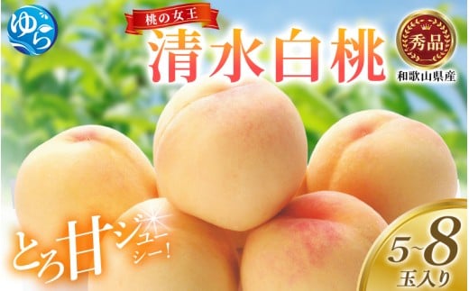 桃 和歌山県産 清水白桃 5〜8玉入り 秀品※2026年7月中旬〜発送 もも 桃 くだもの 甘い 特選 和歌山【mtgn065A】和歌山県由良町14000果物・フルーツもも・すもも