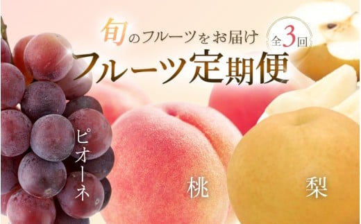 フルーツ 定期便 全3回 (桃・梨・ピオーネ )/ 和歌山 旬 くだもの 甘い ぶどう もも なし ※北海道・沖縄・離島は配送不可【tkb114】和歌山県由良町52000果物・フルーツその他 果物・フルー