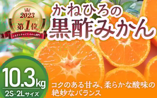 かねひろの黒酢みかん 【2023年 第1位ふるさとチョイス みかん 部門】10.3kg 2S〜2L 新鮮 黒酢 アミノ酸 みかん 蜜柑 ミカン 温州みかん 10kg 甘い 柑橘 果実 フルーツ オレンジ 人気 おすすめ 贈