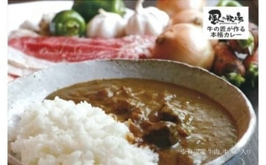 O-25 風の牧場「牛の匠が作る本格カレー」とお米セット佐賀県太良町15000鍋セット・総菜・加工食品総菜
