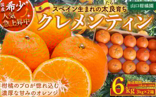 スペイン生まれのたら育ちクレメンティン 6kg クレメンティン みかん 柑橘 国産 オレンジ マンダリン 希少 ジューシー ギフト 贈り物 佐賀県 太良町 ND2佐賀県太良町19000果物・フルーツみか
