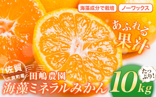 N-40 海藻ミネラルみかん 10kg みかん ミカン 蜜柑 温州みかん 完熟みかん 甘熟 柑橘 日南 大浦 原口 石地 青島 有機栽培 国産 こだわり ノーワックス 贈答品 産地直送 詰め合わせ 佐賀県産 太