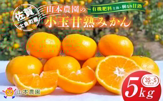 L-12 山本農園の小玉甘熟みかん 5kg みかん ミカン 蜜柑 日南 上野 太幸 佐世保早生 石地 温州みかん 完熟みかん 甘熟みかん 国産 佐賀県産 太良町 こだわり 産地直送 詰め合わせ 小玉 有機肥