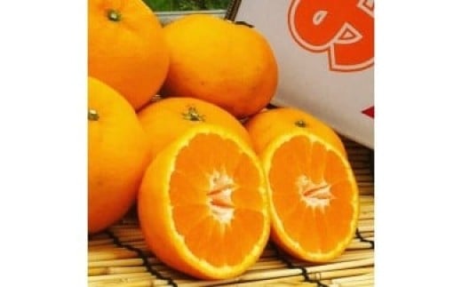 N-113 山本農園のはれひめ 4.5kg S〜2Lミックス 4.5kg  希少 はれひめ ミカン 蜜柑 みかん オレンジ おれんじ フルーツ くだもの 果物 太良町 国産 贈答 贈答用 贈答品佐賀県太良町14000果物・フル
