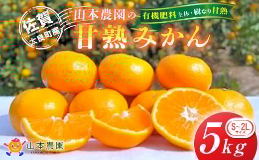 L-13 山本農園の甘熟みかん5kg みかん ミカン 蜜柑 温州みかん 完熟みかん 甘熟 柑橘 有機栽培 国産 佐賀県産 太良町 こだわり 贈答品 産地直送 詰め合わせ佐賀県太良町12000果物・フルーツみ