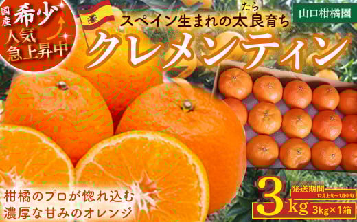 スペイン生まれのたら育ちクレメンティン 3kg クレメンティン みかん 柑橘 国産 オレンジ マンダリン 希少 ジューシー 佐賀県 太良町 M85佐賀県太良町11000果物・フルーツみかん・柑橘類