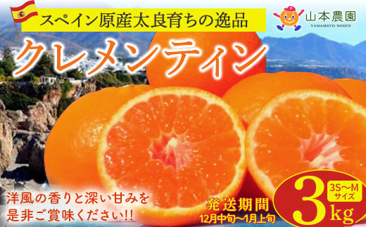 山本農園のクレメンティン 3kg クレメンティン みかん 柑橘 国産 オレンジ マンダリン 希少 ジューシー くだもの 果物 フルーツ 新鮮 贈り物 ギフト 佐賀県 太良町 L41佐賀県太良町11000果物