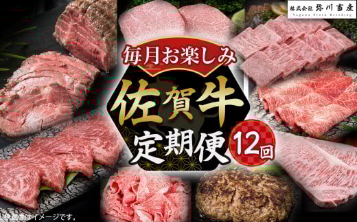 V2 佐賀牛 毎月お楽しみ便 12回コース 定期便 12ヶ月 ローストビーフ 赤身 焼肉 ロース ステーキ ウデブロック ヒレステーキ ハンバーグ しゃぶしゃぶ すき焼き 切落し ロース ヒレ 人気 お