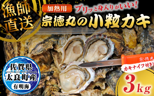 宗徳丸の小粒カキ 3kg 宗徳丸 牡蠣 かき カキ 殻付きカキ 加熱用牡蠣 3kg 有明海 殻付き 生牡蠣  小粒 牡蠣ナイフ  新鮮 貝柱 佐賀県 太良町 OB1佐賀県太良町18000魚介・海産物貝類