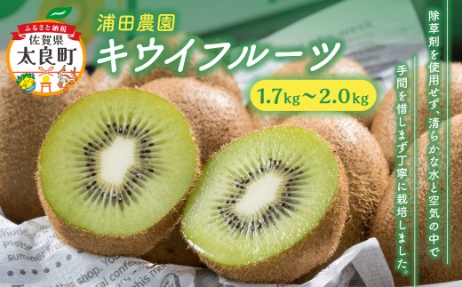 LB-12 ̂ԁLECt[c Yc_ LECt[c LEC t[c  ʕ ~lLx ǒ Y pꌧǒ9000ʕEt[c̑ ʕEt[c