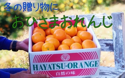 N-85 おひさまおれんじ5kg 希少 みかん ミカン 蜜柑 フルーツ くだもの 果物 ミネラル豊富 太良町 国産 人気 おすすめ ギフト贈り物 ギフト 濃厚 ジューシー 甘い佐賀県太良町15000果物・フル