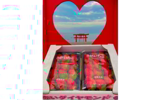 L-52 ǒYúv\tgpbN2P@YҒÎ䕁I ǒ  Y ꌧY ǒY   C`S Â 270g × 2pbN ̂ ʓW[V[ x  t