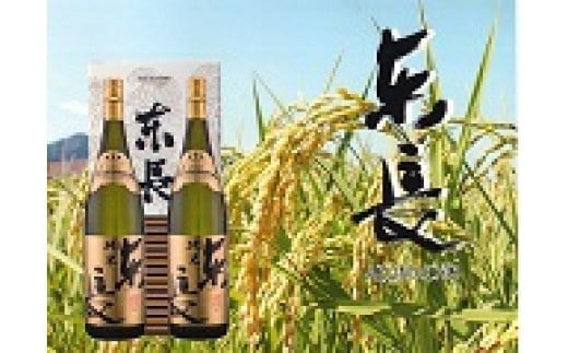P-15 ā@ꌧǒ21000EAR[{
