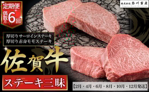 T13 ꋍ Xe[LO y6R[X T[C Xe[L  Ԑg  6  Y a uh    lC  ꌧ ǒꌧǒ100000