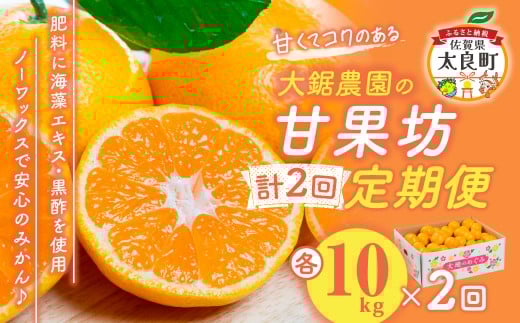 P-81 勘_̊ÉʖV POyQցz ݂񖨊ǂ݂񉷏B݂ʕt[cÂkm[bNXʎ̊kލꌧǒP81mP81nꌧǒ36000ʕEt[