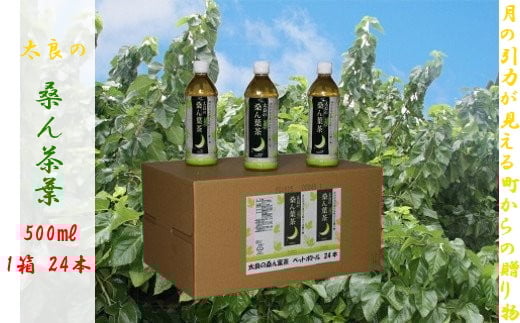 O-134 太良の桑ん葉茶 (ペットボトル) 1箱 500ml×24本 ミネラル お茶 茶 飲料 国産茶 桑の葉茶 佐賀県 太良町佐賀県太良町15000お茶・飲料お茶