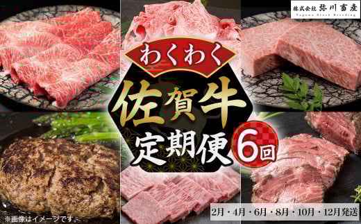 ZF1 佐賀牛 わくわく便 6回コース (偶数月配送) 定期便 6回 すき焼き サーロインステーキ ハンバーグ カルビ焼肉 カルビ 焼肉 切落し ローストビーフ 国産牛 和牛 ブランド牛 牛肉 肉 高級 人
