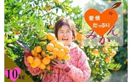 N-218 愛情たっぷりたらみかん(大玉)10kg みかん ミカン 蜜柑 たらみかん 太良みかん 温州みかん 完熟みかん 甘熟 早熟 柑橘 国産 佐賀県産 太良町 こだわり 有機栽培 産地直送 贈答品 詰め