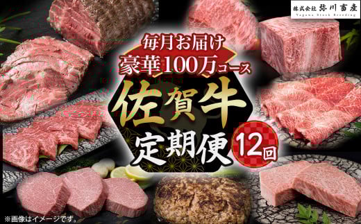 ZAF1 佐賀牛 毎月 豪華12回便 100万コース 定期便 12回 12ヶ月 しゃぶしゃぶ ロースステーキ ローストビーフ カルビ焼肉 ハンバーグ 赤身焼肉 ヒレステーキ ロースブロック モモブロック すき焼