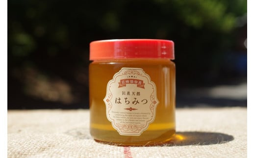 N-225 太良町産はちみつ【みかん蜜600g】 600g 江頭(勇)養蜂場 (日本養蜂協会 会員) 太良町 有明海 国産 国産はちみつ 天然はちみつ みかん蜜 ハチミツ 蜂蜜 柑橘のさっぱりとした香り サラサ