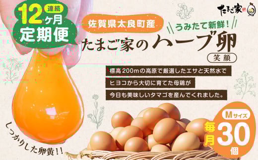 たまご家のハーブ卵(笑顔)30個 12ヵ月定期便 たまご 卵 玉子 たまご タマゴ 鶏卵 卵かけご飯 定期便 たまご 卵 玉子 たまご タマゴ 鶏卵 卵かけご飯 たまご 定期便 たまご 佐賀県 太良町 T26