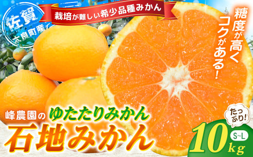 峰農園のゆたたりみかん【石地みかん】10kg フルーツ 果物 くだもの 柑橘 みかん ミカン 蜜柑 たらみかん 太良みかん 温州みかん 完熟みかん 希少品種 石地みかん 甘熟 早熟 ミネラル豊富 多
