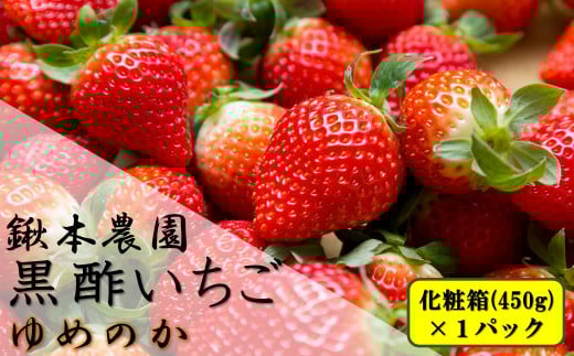 N-242 鍬本農園の黒酢いちご(ゆめのか) 化粧箱 450g×1箱佐賀県太良町10000果物・フルーツいちご