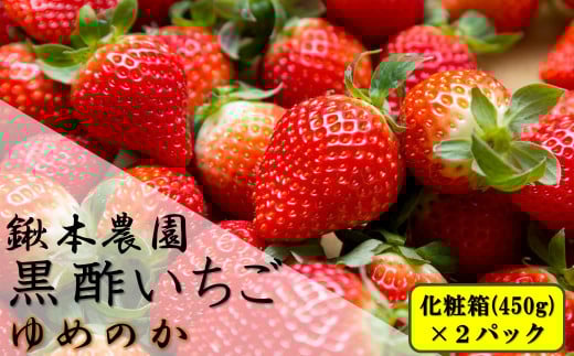 NC-20 鍬本農園の黒酢いちご(ゆめのか) 化粧箱 450g×2箱佐賀県太良町16000果物・フルーツいちご
