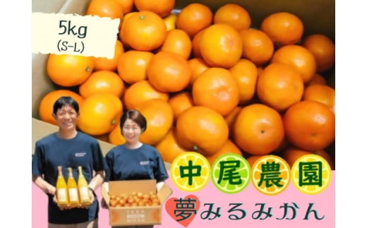 NA-10 中尾農園の夢みるみかん(S-L)5kg 温州みかん 早生 温州 みかん ミカン 蜜柑 温州蜜柑 温州ミカン フルーツ くだもの 果物 ミネラル豊富 太良町 国産 贈答用 月の引力が見える町 太良