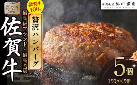 OB5 佐賀牛100%の贅沢ハンバーグ 150g×5個 手造り 佐賀牛100% 国産牛 和牛 ブランド牛 牛肉 肉 高級 人気 おすすめ 佐賀県 太良町佐賀県太良町17000肉加工肉(ハム・ソーセージ等)