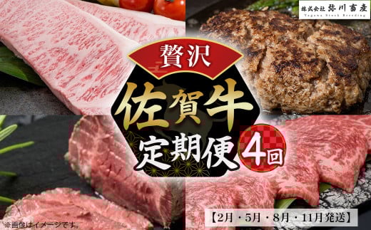佐賀牛 贅沢!4回定期便【2月・5月・8月・11月発送】佐賀牛 ハンバーグ ローストビーフ サーロイン 佐賀県 太良町 SE1佐賀県太良町75000肉牛肉