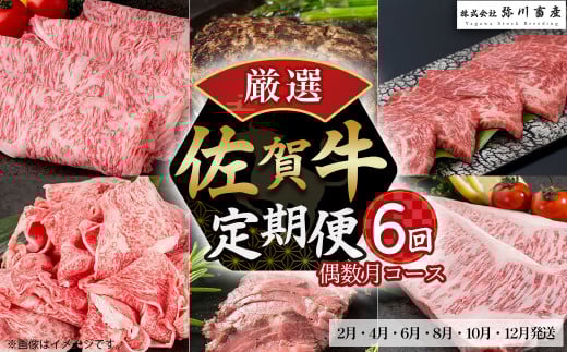 佐賀牛 厳選!6回定期便 偶数月コース 【2月・4月・6月・8月・10月・12月発送】 佐賀牛 ブランド牛 国産牛 牛肉 肉 赤身 赤身肉 佐賀県 太良町 T31佐賀県太良町100000肉牛肉