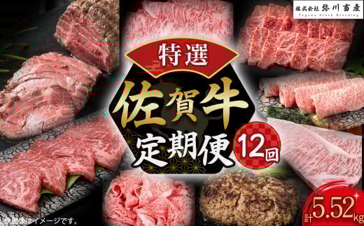 佐賀牛 特選!12回定期便 佐賀牛 ブランド牛 国産牛 牛肉 肉 定期便 佐賀県 太良町 V11佐賀県太良町200000肉牛肉