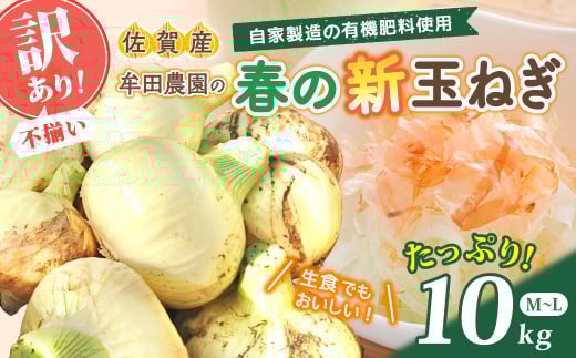 牟田農園の春の新玉ねぎ 【訳あり不揃い】10s たまねぎ タマネギ 野菜 新玉ねぎ 玉ねぎ 10kg 玉ねぎ 佐賀県 太良町 L151佐賀県太良町9000野菜・きのこ玉ねぎ・ねぎ