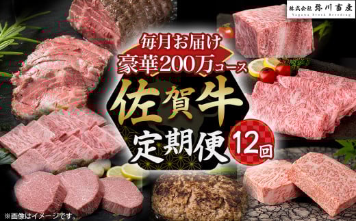 佐賀牛 極上!12回定期便 佐賀牛 ブランド牛 国産牛 牛肉 肉 定期便 佐賀県 太良町 ZAP1佐賀県太良町2000000肉牛肉